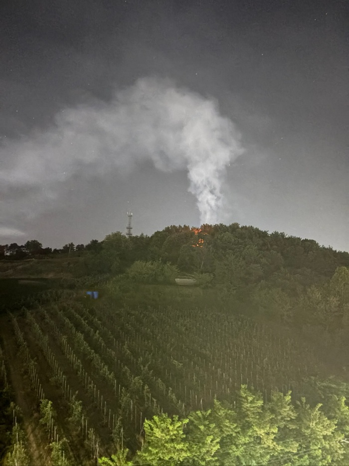 (산림청 제공) 충남 예산 산불 사진.jpg