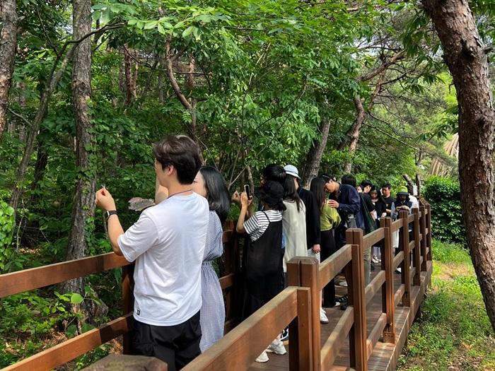 출산 산림치유.jpg