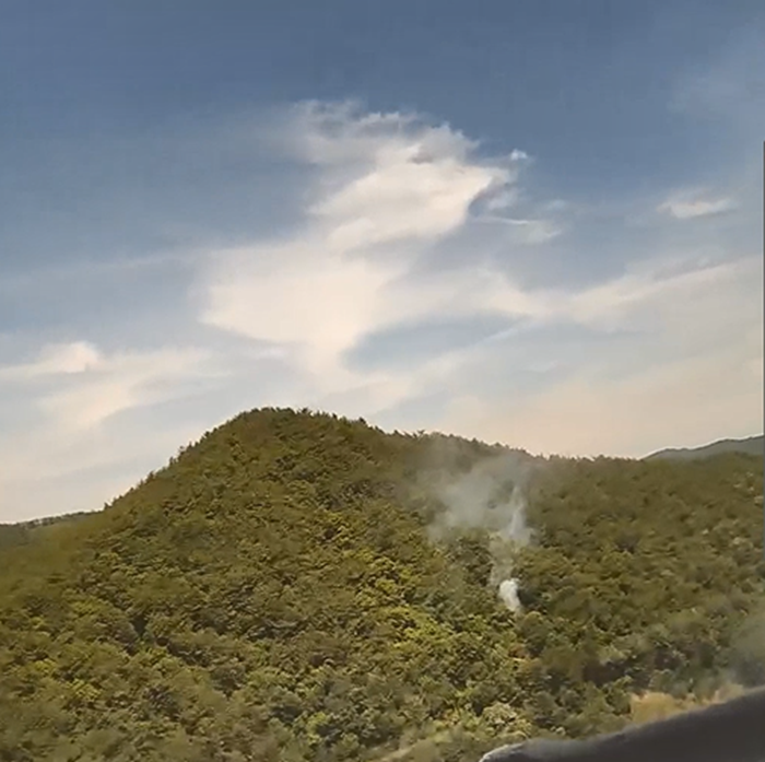 (산림청제공) 전남 장흥.png