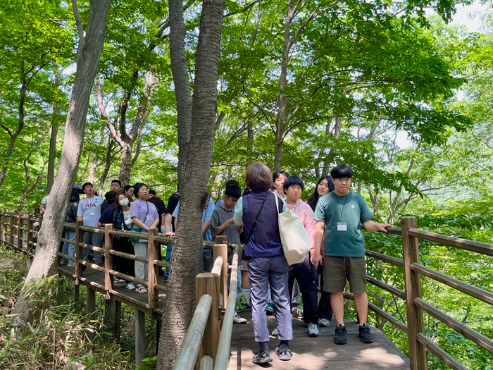 산불피해지역아동 산림치유.jpg