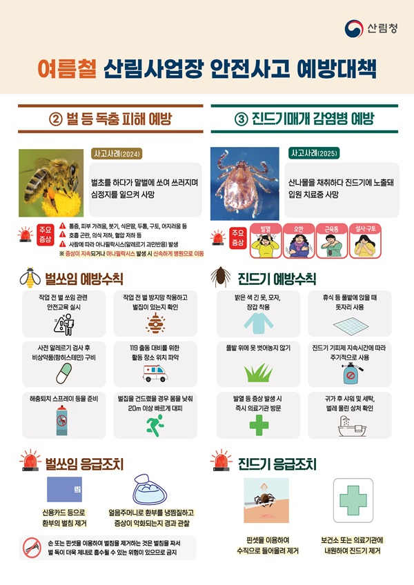 사진2.여름철 산림사업장 안전사고 예방대책.jpg