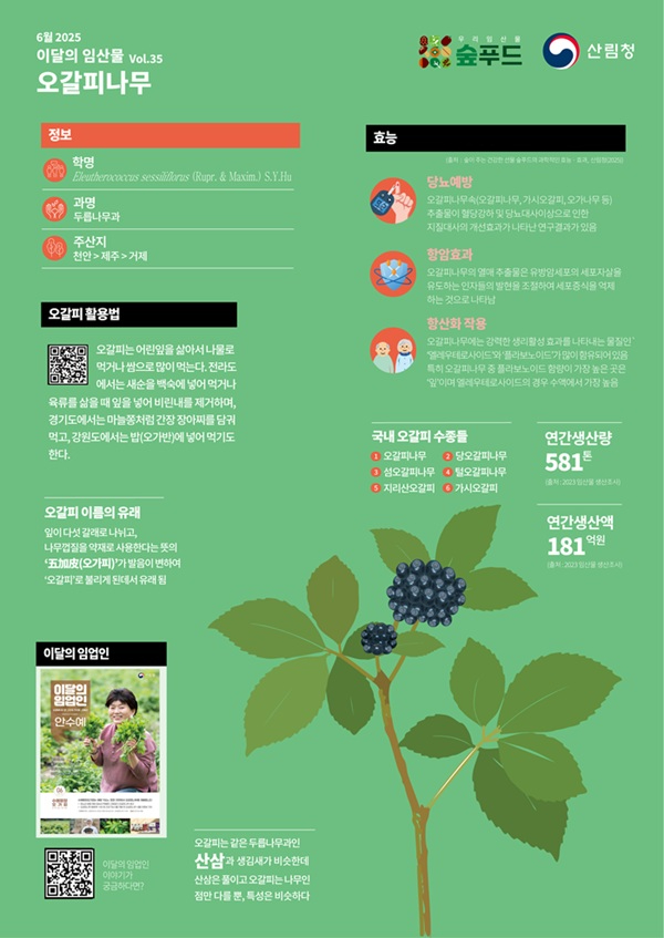 6월 이달의 임산물오갈피나무.jpg