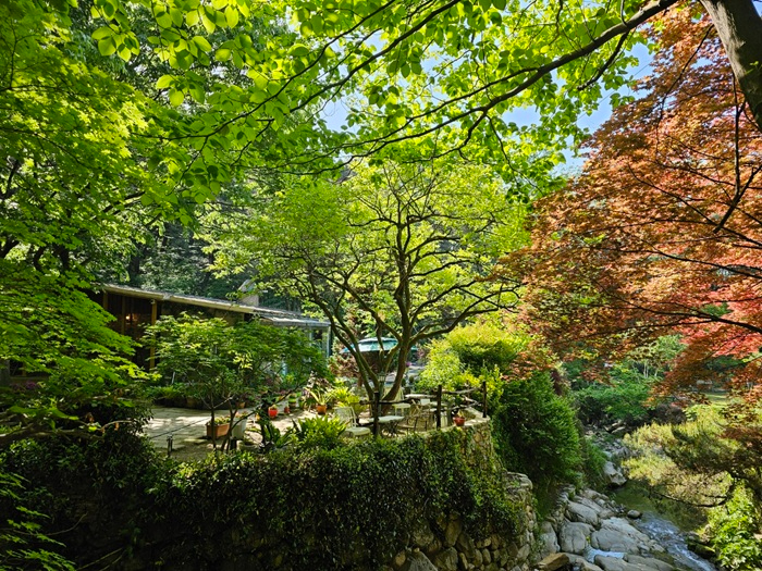 사진2.비밀의화원.jpg