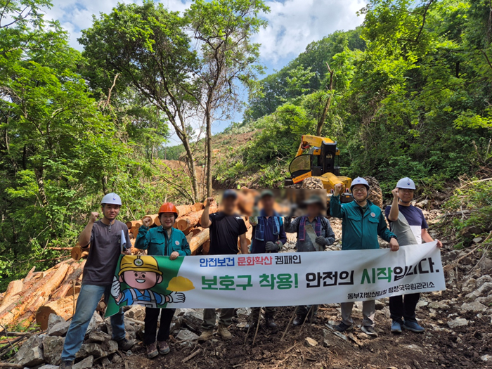평창국유림 2차 캠페인.png