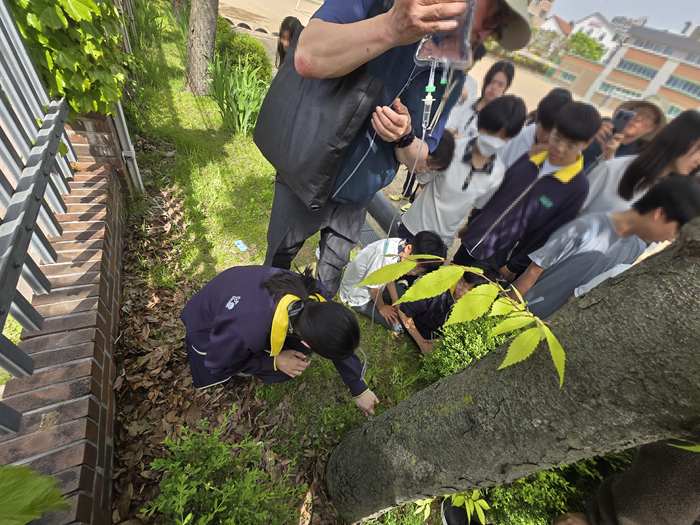 image03.png