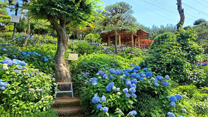 사진3.충청북도 청주시 공간정원.jpg
