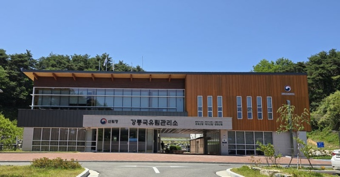 강릉국유림.jpeg