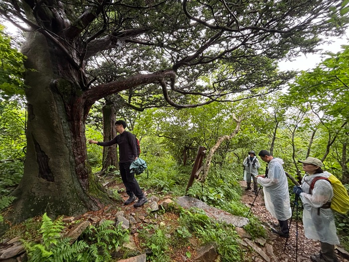 보도자료 사진 (2).JPG