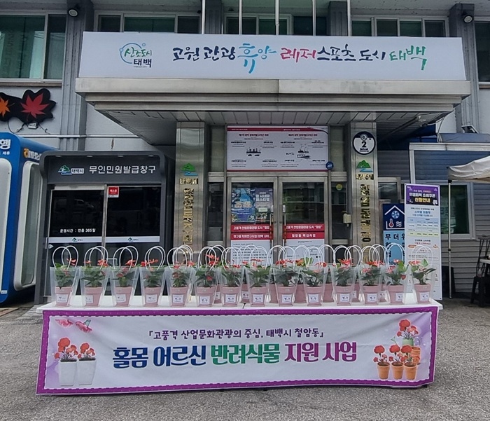 6.철암동, 홀몸 어르신 반려식물 키우기 지원사업 실시.jpg