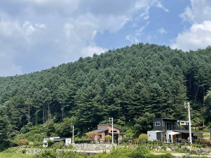 자료사진-임산물양여(잣종실).jpg