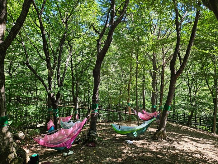 (사진1) 직무연수 해먹체험.jpeg