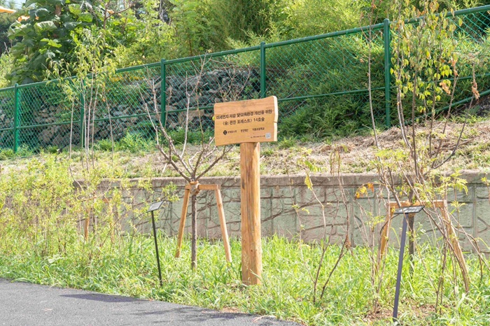 [사진자료 2] 경상북도 지품초·중학교에 완공된 숨;편한포레스트 14호숲 조성사진 .jpg
