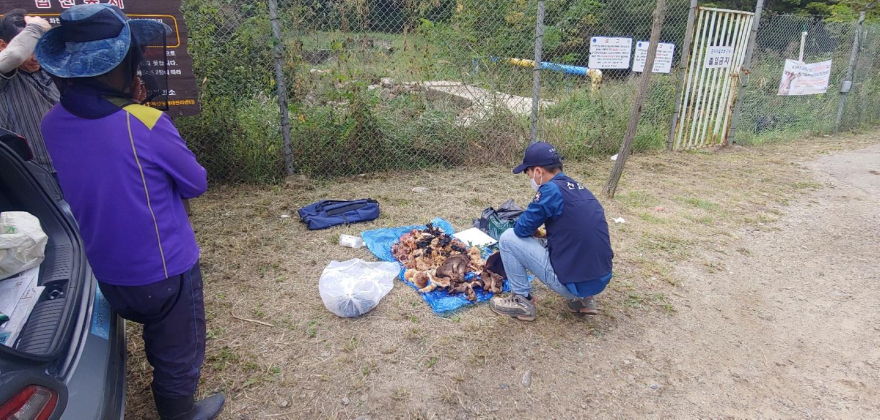 보도자료 사진.jpg
