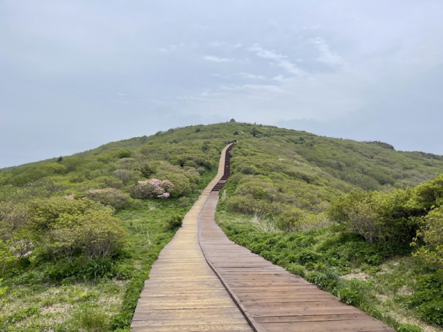 사진6. (최우수상) 지리산 노고단 군부대 야영장 복원(현재).jpg