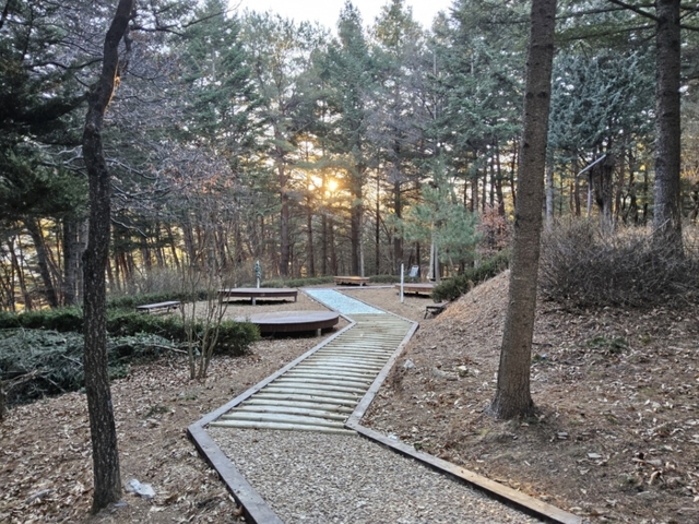 정선군.jpg