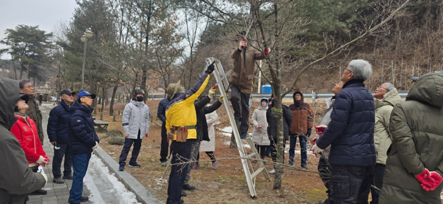 사진3_한국임업진흥원,+산불피해지역에+산나물+정원을+보급하다.jpeg