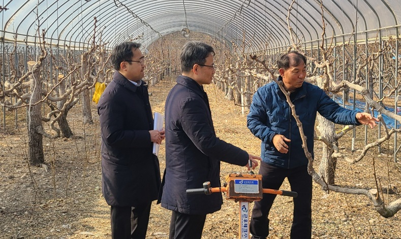 사진2. 박은식 산림청 차장(가운데)이 13일 충청북도 보은군 대추임가를 방문해 폭설 및 한파 피해를 예방할 수 있도록 철저한 사전 대비와 관리를 당부하고 있다.jpeg