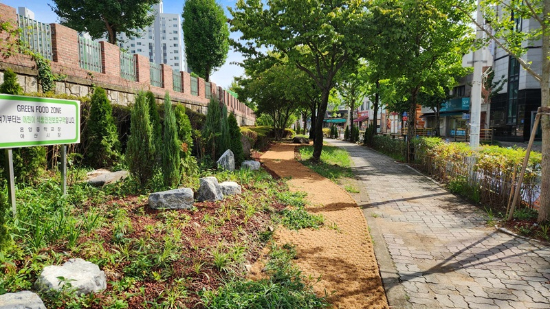 사진3._자녀안심그린숲(충청남도_아산시_용화초등학교__2024년_조성).jpg