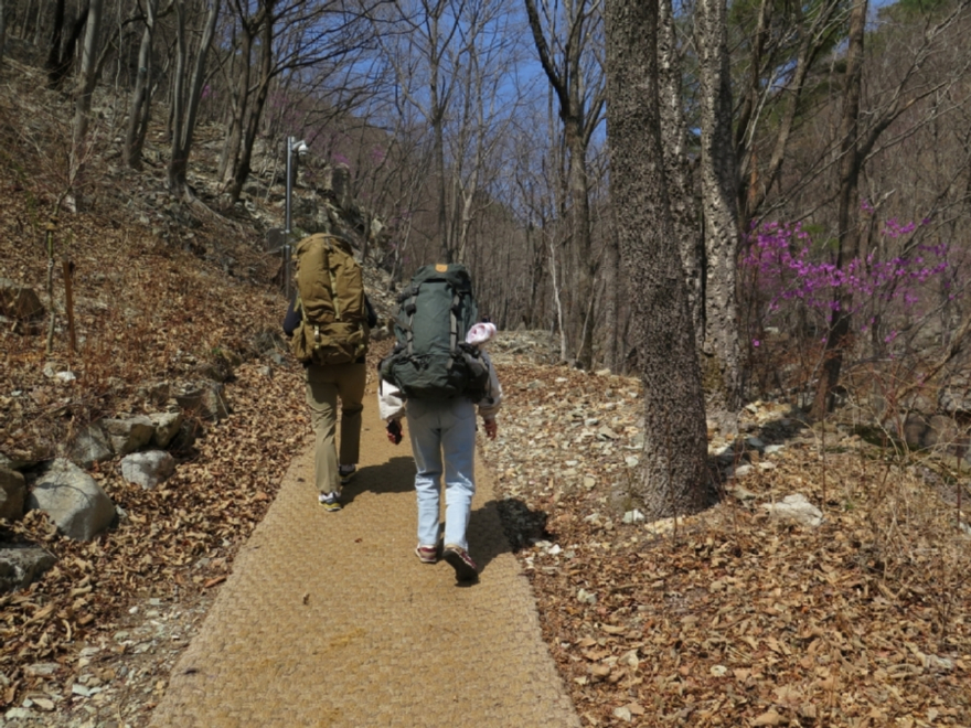 사진4.신불산폭포자연휴양림 상단으로 걸어올라가는 백패커들.JPG