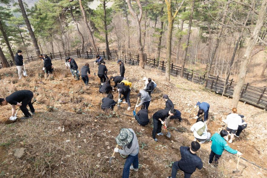 3.연천군, 제81회 식목일 기념 산철쭉 식재.jpg