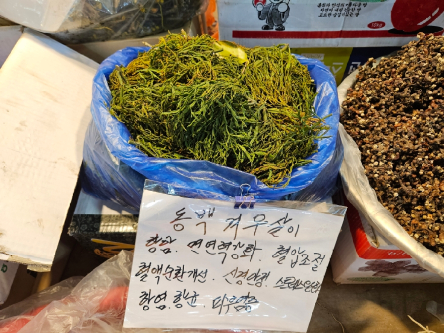 시장에서 판매되고 있는 동백나무겨우살이.jpg