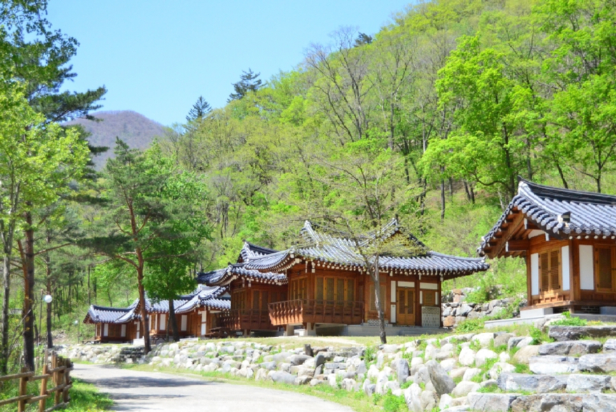 사진3.강원 홍천군 삼봉자연휴양림.jpg