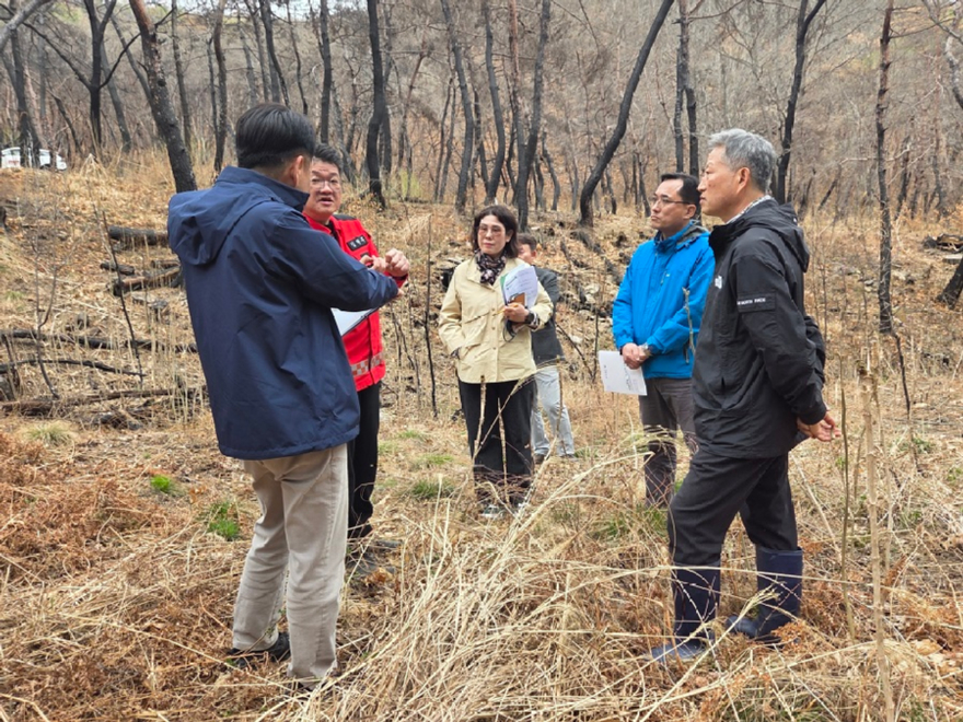 사진1.이상익 산림청 산림산업정책국장(오른쪽에서 두번째)이 31일 경상북도 의성군에서 산불피해 임업경영체 현장을 점검하고 있다.jpeg