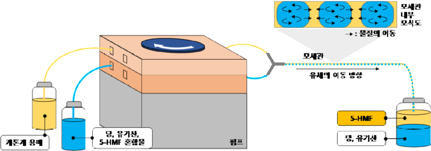 5-HMF 연속식 추출 공정 모식도.png