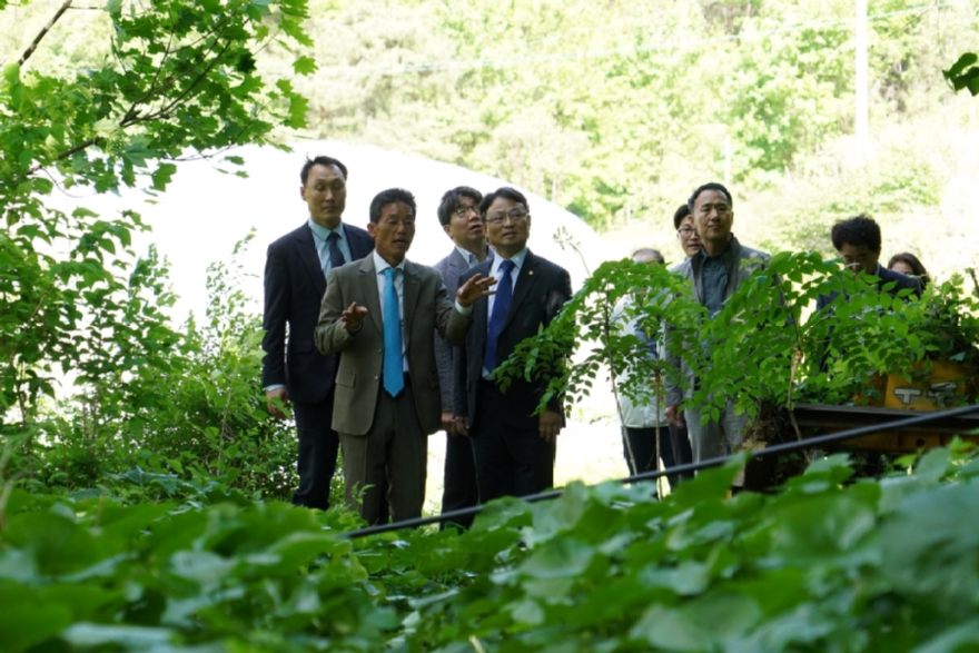 사진4.박은식 산림청장(왼쪽 네번째)이 7일 이 달의 임업인과 함께 함양군 약초골 농원을 점검하고 있다..jpg