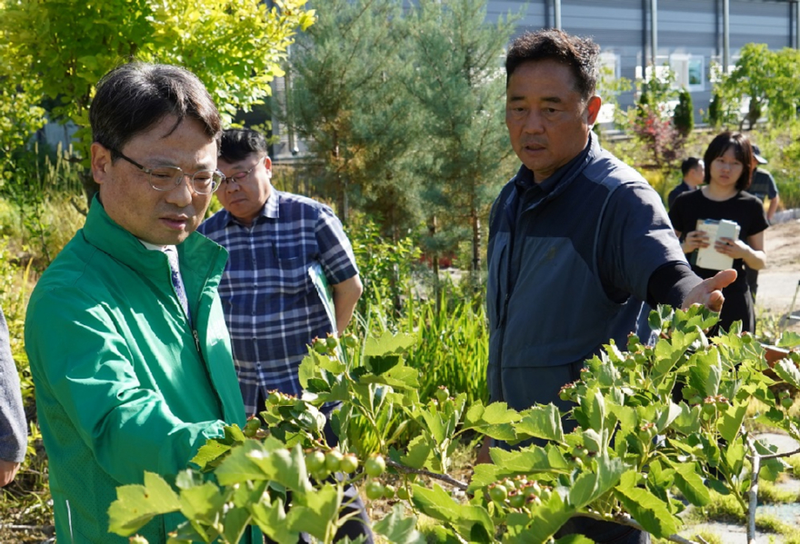 사진1.박은식 산림청장(왼쪽 첫번째)이 5일 세종특별자치시 장군면 산림신품종 재배단지를 방문해 운영 현황을 점검하고 관계자들과 의견을 나누고 있다.jpg