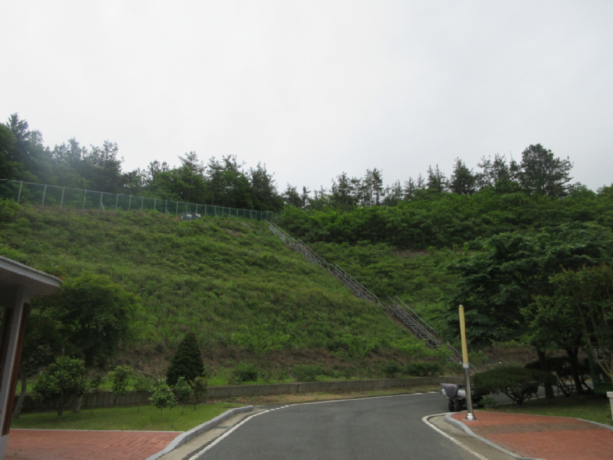 영암국유림관리소, 산림경영대행.JPG