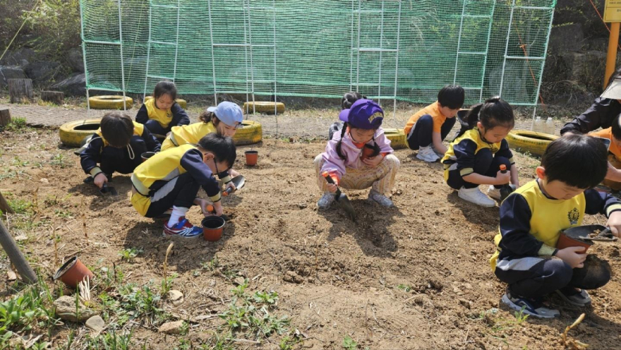 아이들이 씨앗을 직접 파종하는 모습 Ⓒ 오금동유아숲체험원 제공.jpg