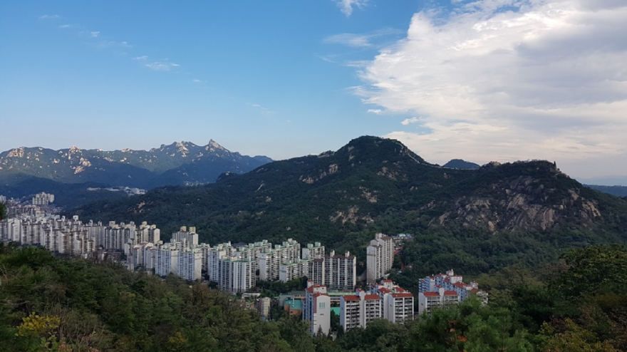 서울 안산에서 바라본 도시숲 경관01.jpg