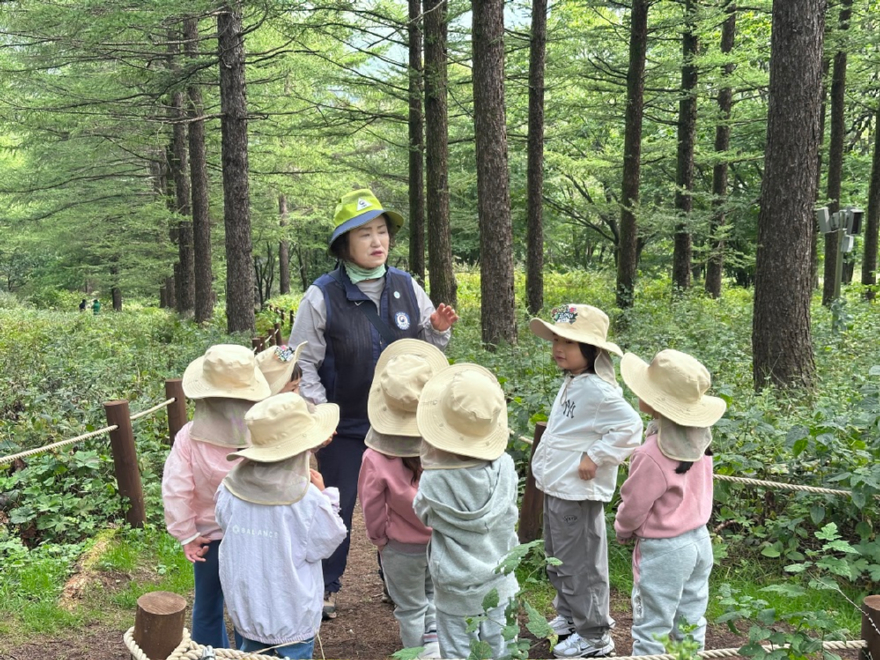 태백국유림관리소_유아숲교육.jpg