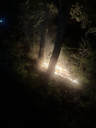 산림당국 서울 용산 산불발생.. 진화 완료