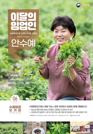 산림청, ‘6월의 임업인’에 강원 평창에서 오갈피나무를 재배하는 안수예 임업인 선정