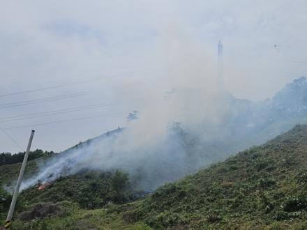 산림당국 충남 금산 산불발생.. 진화 완료