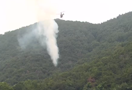 산림당국 경남 김해 산불발생.. 진화 완료