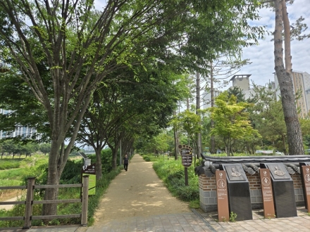 시원한 그늘 아래 한걸음…자연이 만든 여름쉼터 도시숲