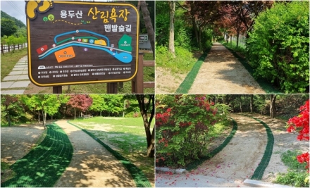 용두산 산림욕장 맨발숲길 조성
