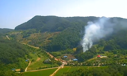 산림당국 충남 서천 산불발생.. 진화 완료