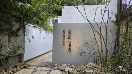 곰이 떠난자리, 숲의 정원이 되다