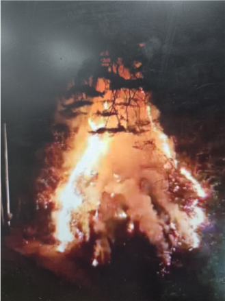 충북 제천 산불, 발생 47분 만에 '초동 진화' 완료... 헬기 6대 등 신속 투입