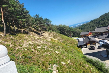 산림청, '산림자원법 시행령' 개정… 건축물 인접 입목 임의벌채 허용