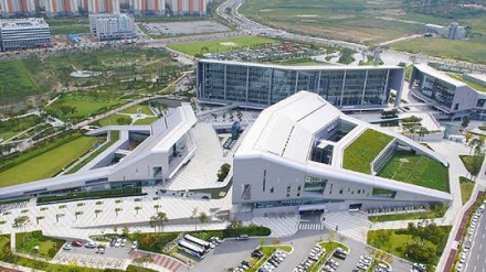충남도, 소나무재선충병 방제 예산 174억 추가 확보… 총 348억 투입 '총력'