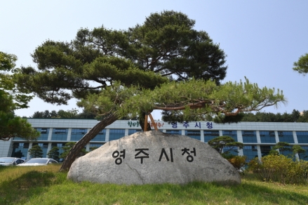 영주시, 2026년 임업인 소득 지원 ‘시동’… 경영 부담 50% 덜어준다