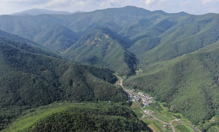 남부지방산림청, 여의도 면적 2.5배 사유림 매입... 국유림 확충 가속도