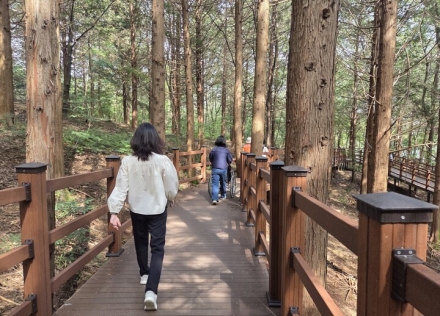 전주 건지산에 1.4km ‘무장애 나눔길’ 조성 ... 보행 약자도 숲 향유