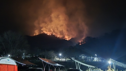 영암국유림관리소, 명절 산불 예방 ‘현장 맞춤형’ 홍보와 점검으로 철통 방어