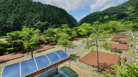 숲속 가르고 별 아래 잠든다… 증평 좌구산휴양랜드 3월 1일 개장